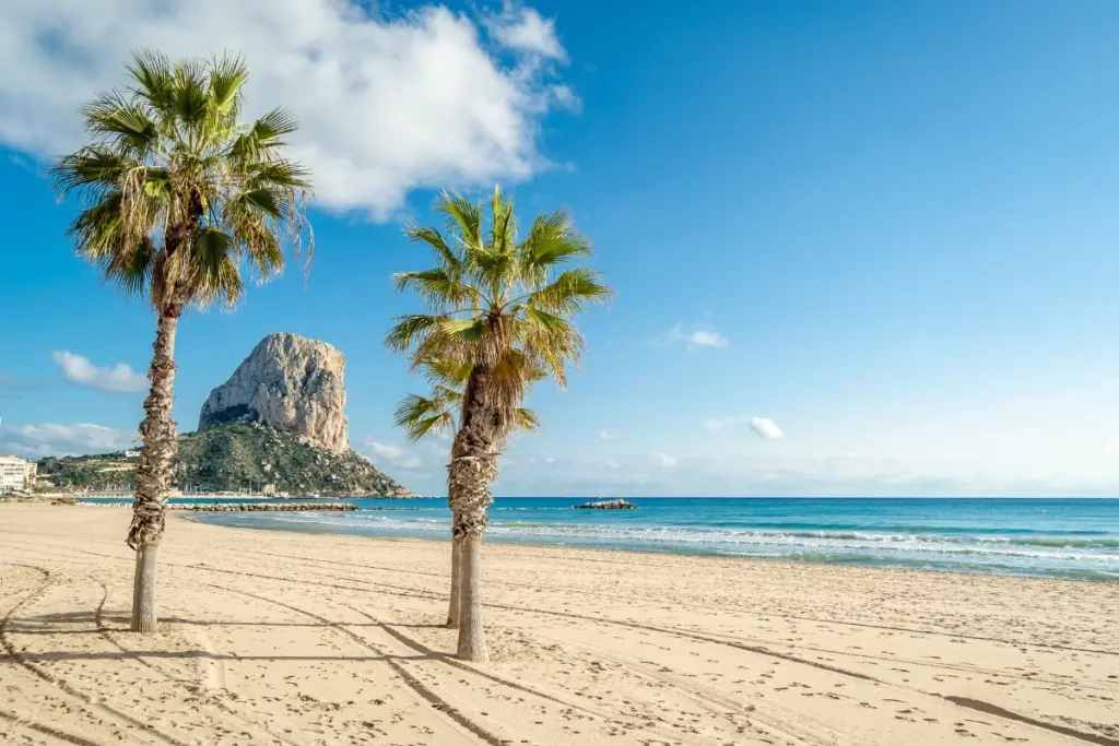 Arenal Bol Beach in Calpe with palm trees, golden sand and the Peñón de Ifach